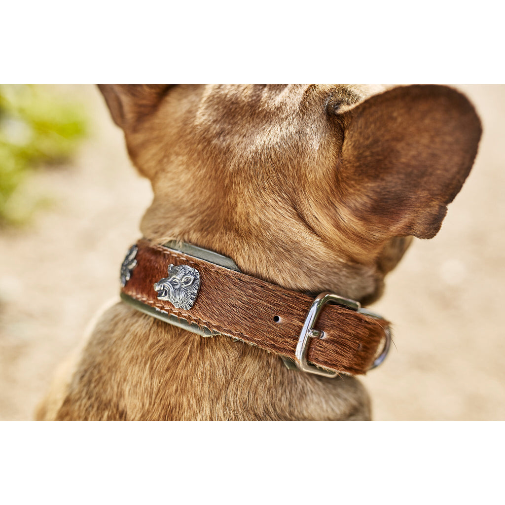 BAVARIA Hundehalsband